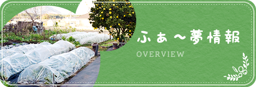 ふぁ～夢情報